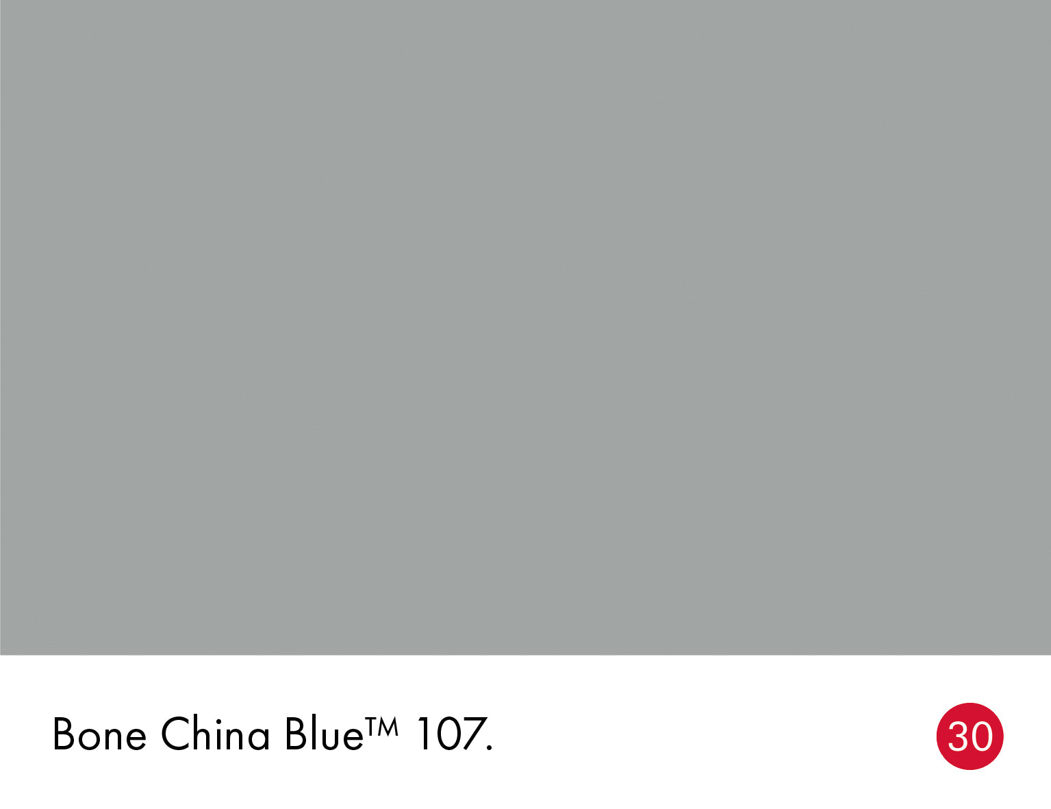 Bone China Blue 107 intelligent matt emulsion 5l