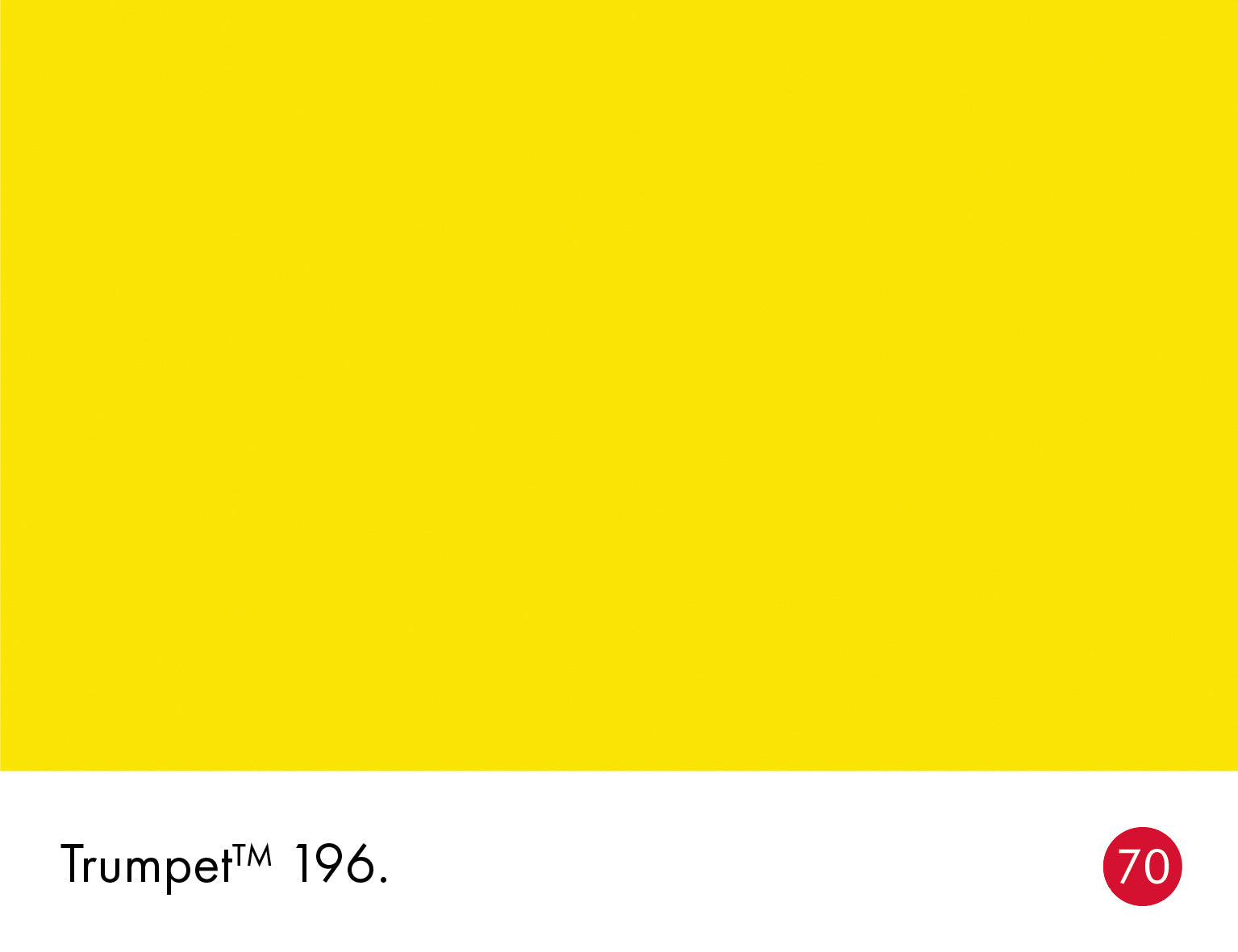 Trumpet 196 intelligent matt emulsion 5l