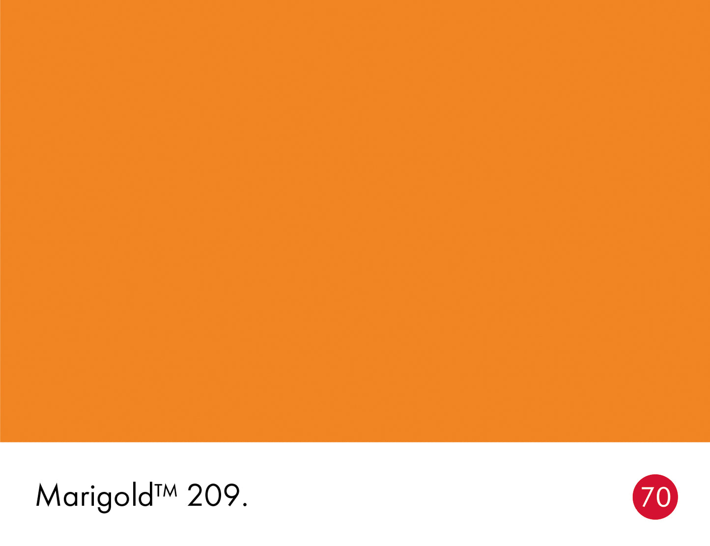 Marigold 209 intelligent matt emulsion 5l