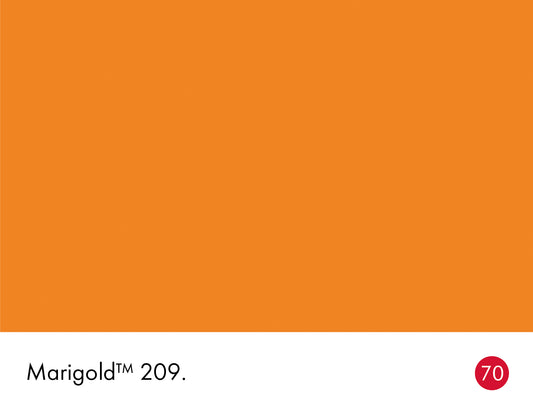 Marigold 209 intelligent matt emulsion 5l