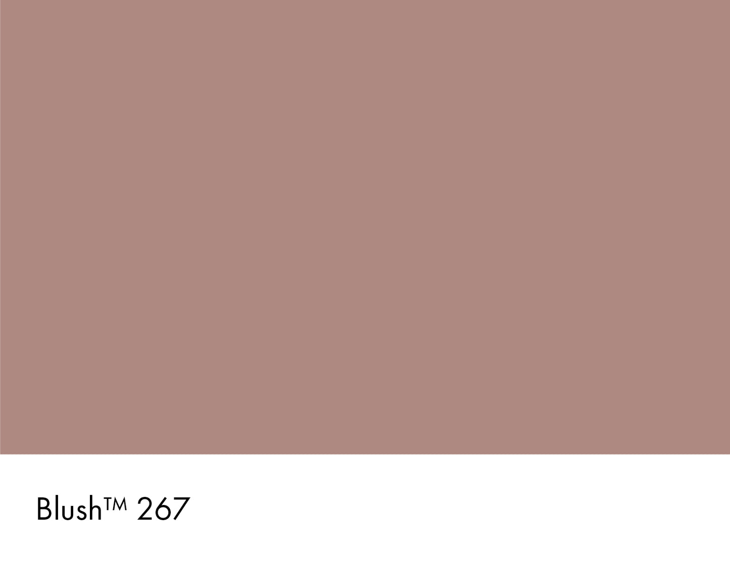 Blush 267 intelligent matt emulsion 5l