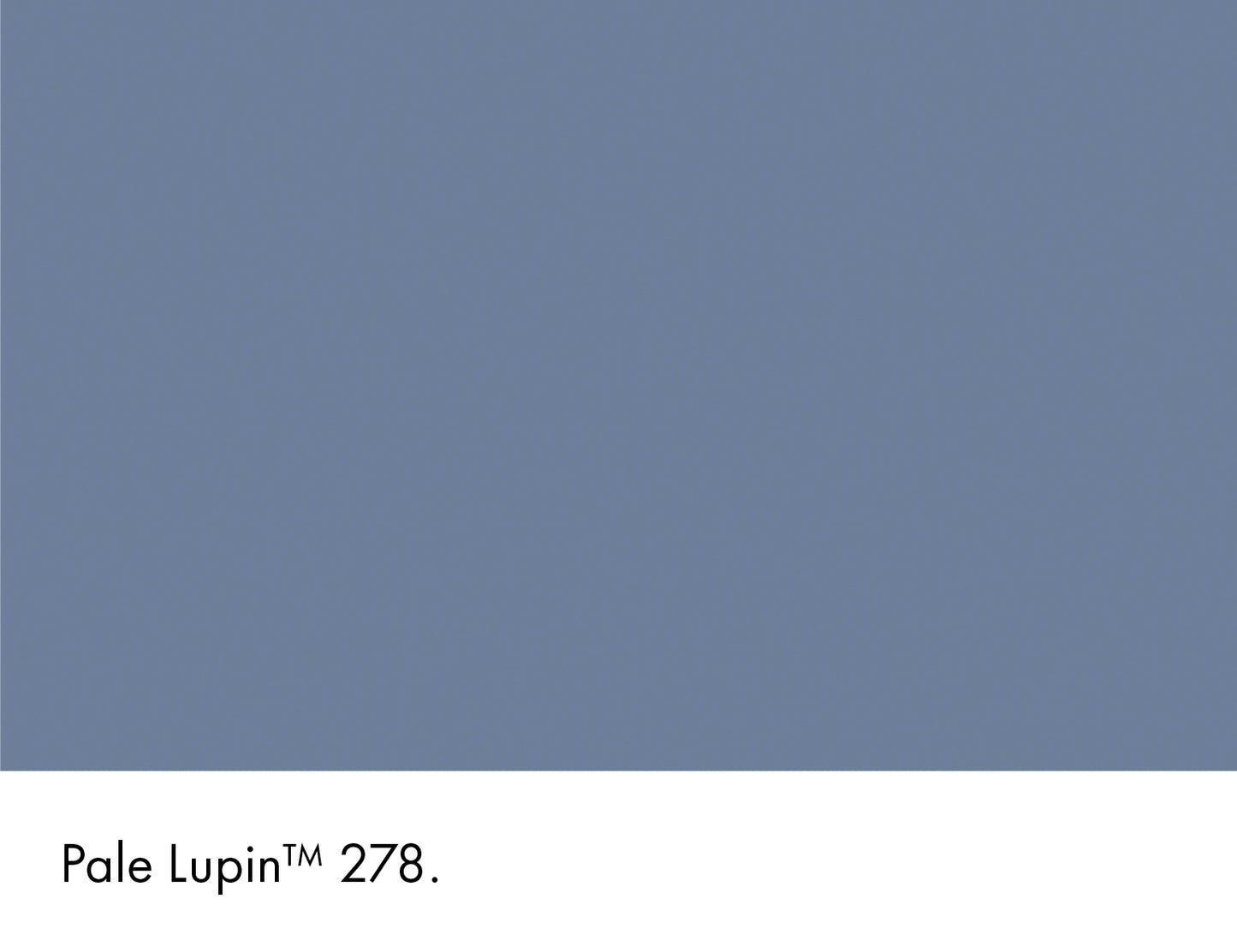 Pale Lupin 278 intelligent matt emulsion 5l