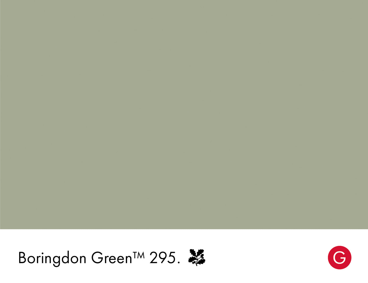 Boringdon Green 295 intelligent matt emulsion 5l
