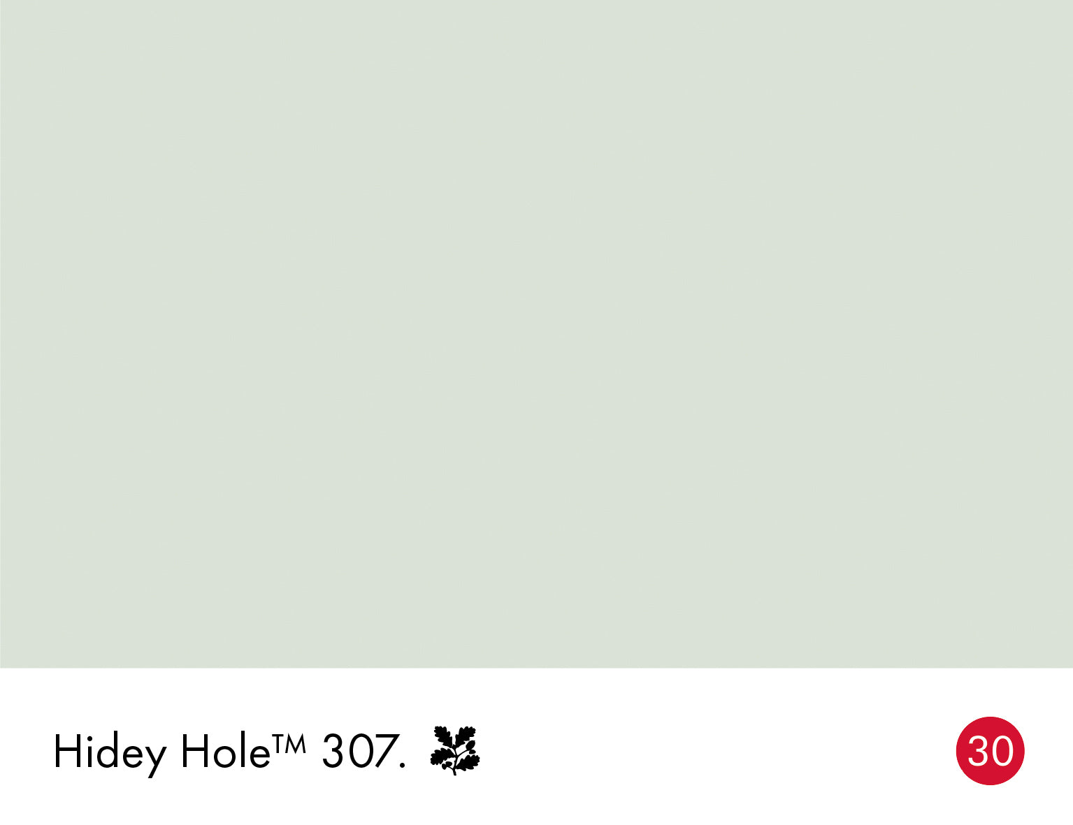 Hidey Hole 307 intelligent matt emulsion 5l