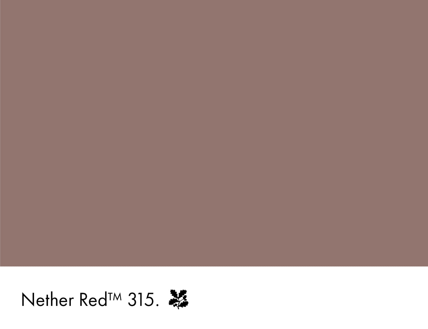 Nether Red 315 intelligent matt emulsion 5l